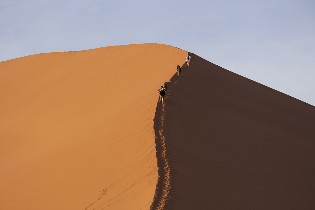 Safaris in Namibia Safaris In Namibia