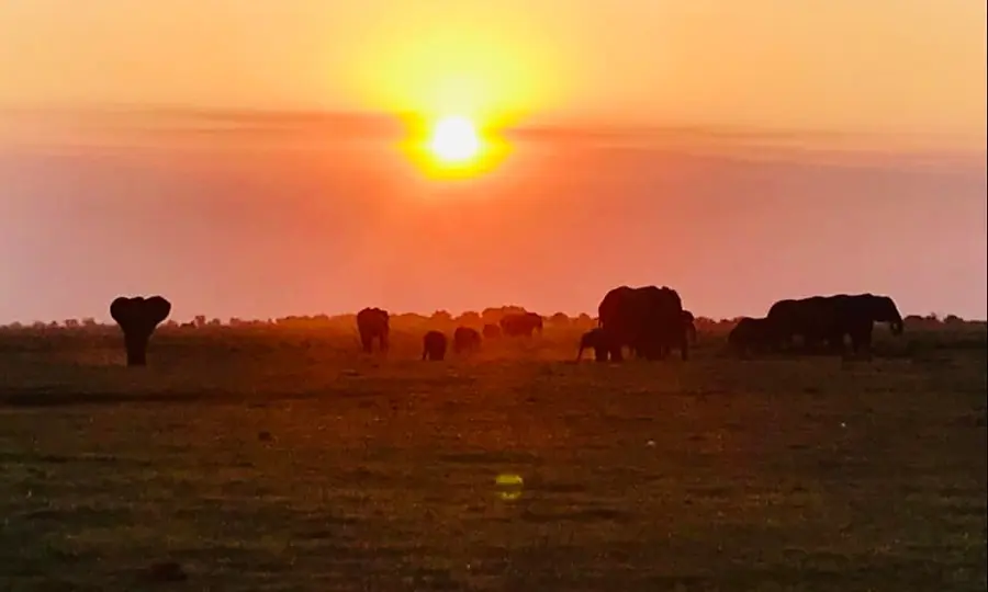 Coucher du soleil sur la rivière chobe, Botswana